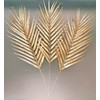 Unbranded Set/3 19”L Artificial Holiday Gold Golden Tropical Palm Fronds