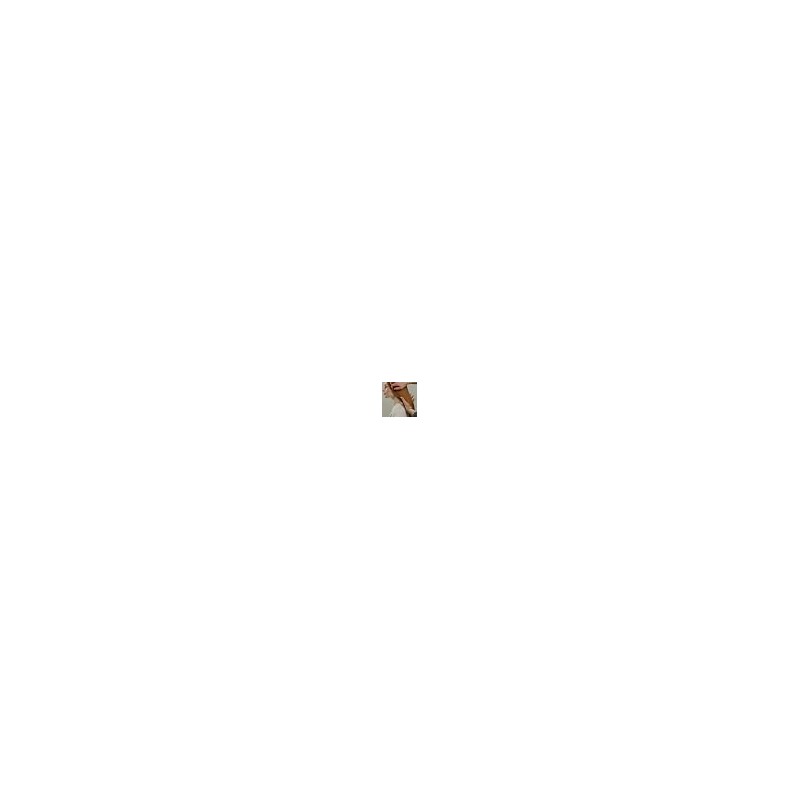 Davines OI Oil | Aceite capilar multibeneficios antifrizz |135 ml