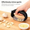 Stainless Steel Garlic Press Rocker, Portable Kitchen Essential, Ergonomic Handle