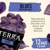 Terra Vegetable Chips, Blues Chips with Sea Salt, 5 Oz