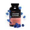 LEGION Creatine Monohydrate Gummies – Clean Chewable Creatine Supplement for