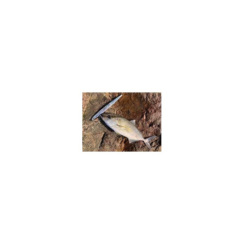 Palms JR-80 Metal Jig Lure, Jigaro 80, Gold Green