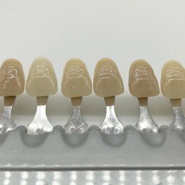 Shade Guide Porcelain Dental Dentist Materials 16 Colors Shade Guide Teeth, Dental Care and Teeth whitening (Dental-16Color) Plutusdental