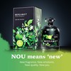 nou Bergamot Perfume – Citrus Perfume – Natural Perfume for