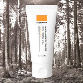 Wisely Skin Moisture Skin Moisture Niacinamide Whitening Cream 1ea 50ml / 와이즐리 피부촉촉함 피부수분 나이아신아마이드 미백크림 1개 50ml