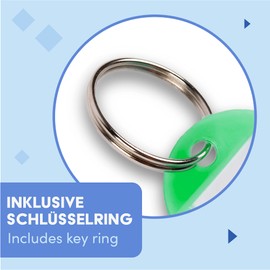 WINTEX Key Ring with Tags - 100 pcs - Heavy Duty Plastic Fobs with Labels - Coloured Key Chain Rings for Organising, Travelling, or Pets - Green…
