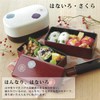 Takenaka T-86294 Lunch Box, Tamari (Top Level), 8.1 fl oz