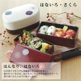 Takenaka T-86294 Lunch Box, Tamari (Top Level), 8.1 fl oz (230 ml), Lower Level, 12.8 fl oz (380 ml), Nairo, Slim, Long, Tamari