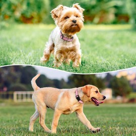 PenSeepet Reflective Dog Collar Padded with Soft Neoprene Breathable Quick Release Basic Dog Collars for Medium Dogs Pink Girl