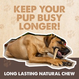 Mighty Paw Elk Antlers (1 Pack, Medium)