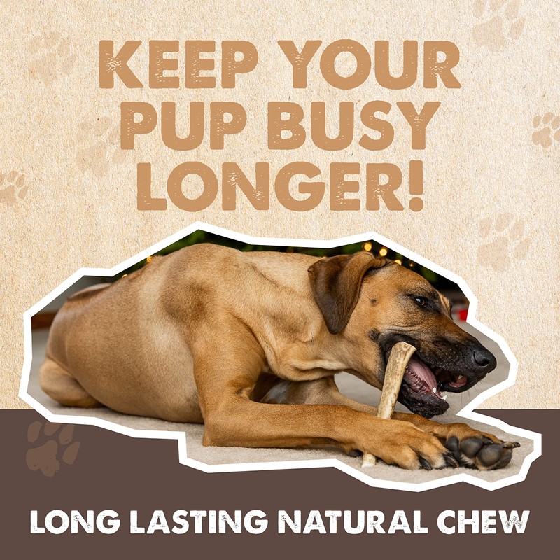 Mighty Paw Elk Antlers (1 Pack, Medium)