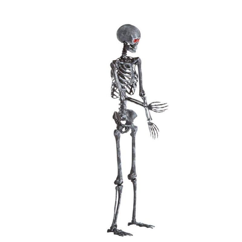 Home Accents Holiday 5 ft. LED Pose-N-Stay Ash Skeleton