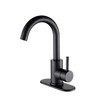 RODDEX Wet Bar Sink Faucet Stainless Steel One Hole 360