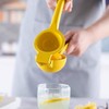 PIQIUQIU Lemon Squeezer - Metal Lime Squeezer - Manual Citrus