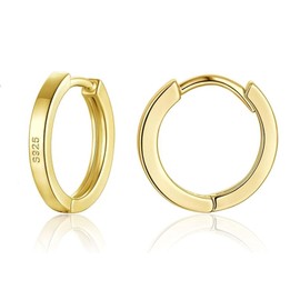 wynn's Silver Hoop Earrings for Women, 925 Sterling Silver Hoop Earrings Set, Unisex Small Sleeper Hoop Earrings, Gold Hooped Huggie Cartilage Earrings for Women Men Girls (10mm)