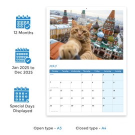 Cat Selfie Wall Calendar 2025 UK 12 Months Animal Calendar 2025 Funny A4 2025 Calendar Month to View Papa Prints