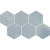 Daltile Mesmerist 4" Hexagon Ceramic Wall Tile in Whimsy (30