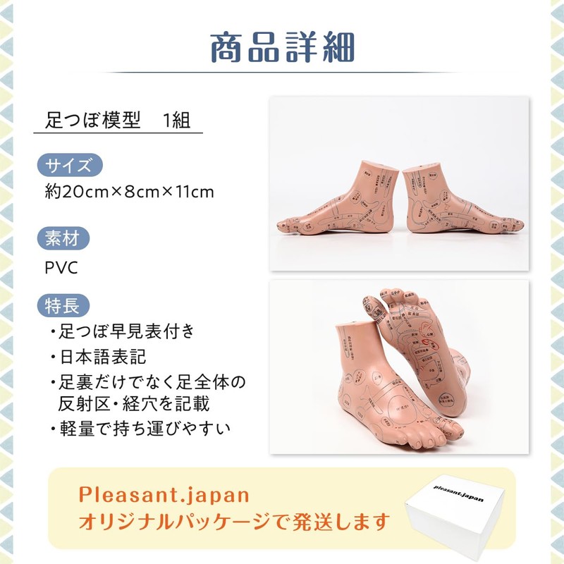 【Recommended by Bodywork Therapists, Easy to Understand Japanese Text, Systematically