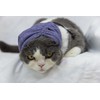 DDFS Cat Hematoma Ear Wrap,Noise Cancelling Headphones Anxiety & Stress