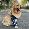 HDKUW Dog Elbow Protector for Calluses, Dog Joint Recovery Sleeve