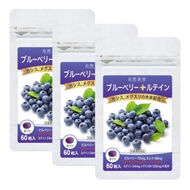 大日ヘルシーフーズ ブルーベリー ルテイン 60粒入（錠剤タイプ）×3袋 カシス メグスリの木末配合 サプリ