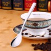 Wenkoni 6.1"Small Dessert Spoons, Yogurt,Coffee,Espresso,Ice Cream Spoons SUS 304 Stainless