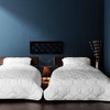 TK-PP30203 Silk 2 Silk Interwoven Satin, Washable Pillow Pad, 100%