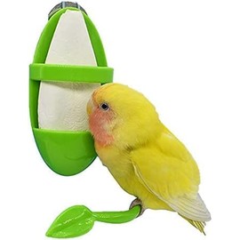 Large Cuttlefish Bone with Holder Plastic Cuddle Bone Feeding Racks Parrot Cage Stands Accessories for Parakeets Budgies Finches Birds Cockatiels Turtles Tortoise Snails for Pet Bird