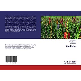Gladiolus