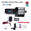 Electric Winch 12V 24V 3000 lbs Winches for Towing Boat
