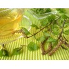 Health Embassy Common Birch Leaf Tea | Betula pendula L