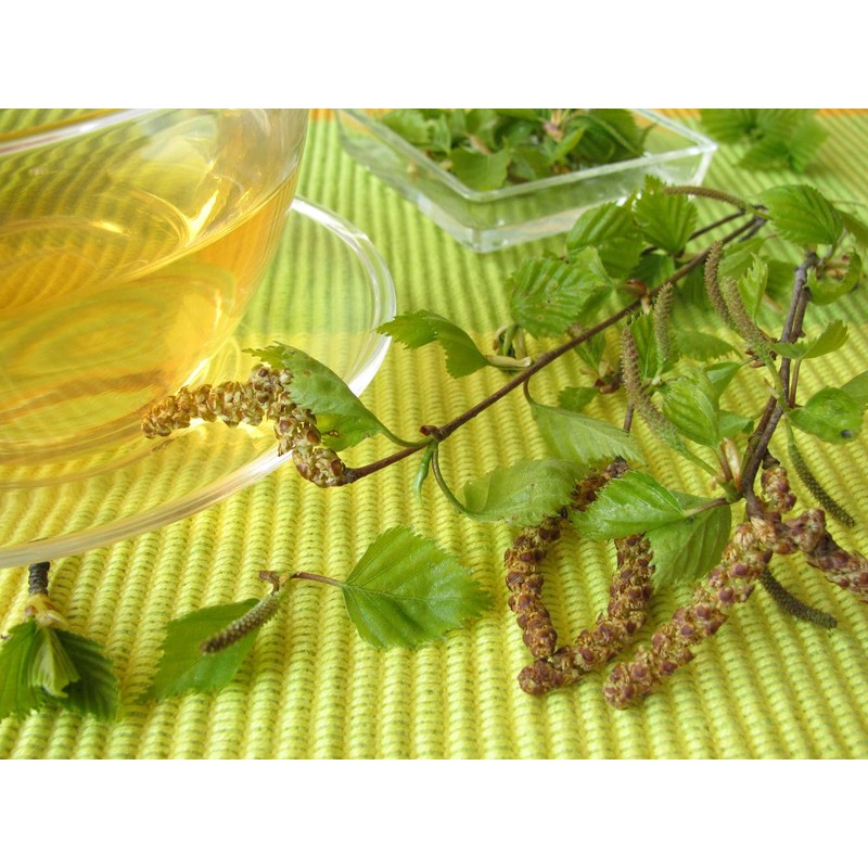 Health Embassy Common Birch Leaf Tea | Betula pendula L