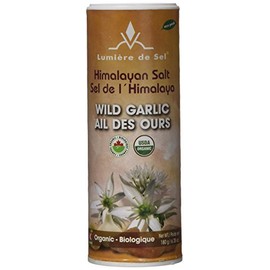 Ecoideas Organic Wild Garlic Salt Shakers, 180g