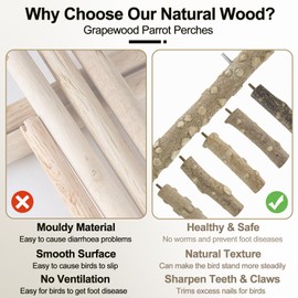 6 Pieces Natural Budgie Perches, Natural Wooden Parrot Platform, Small Birds Feeder Perch, Budgies Toy, Bird Cage, Budgie, Accessories for Cockatiel, Canary