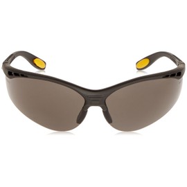 DeWalt DPG58-2D Safety Glasses