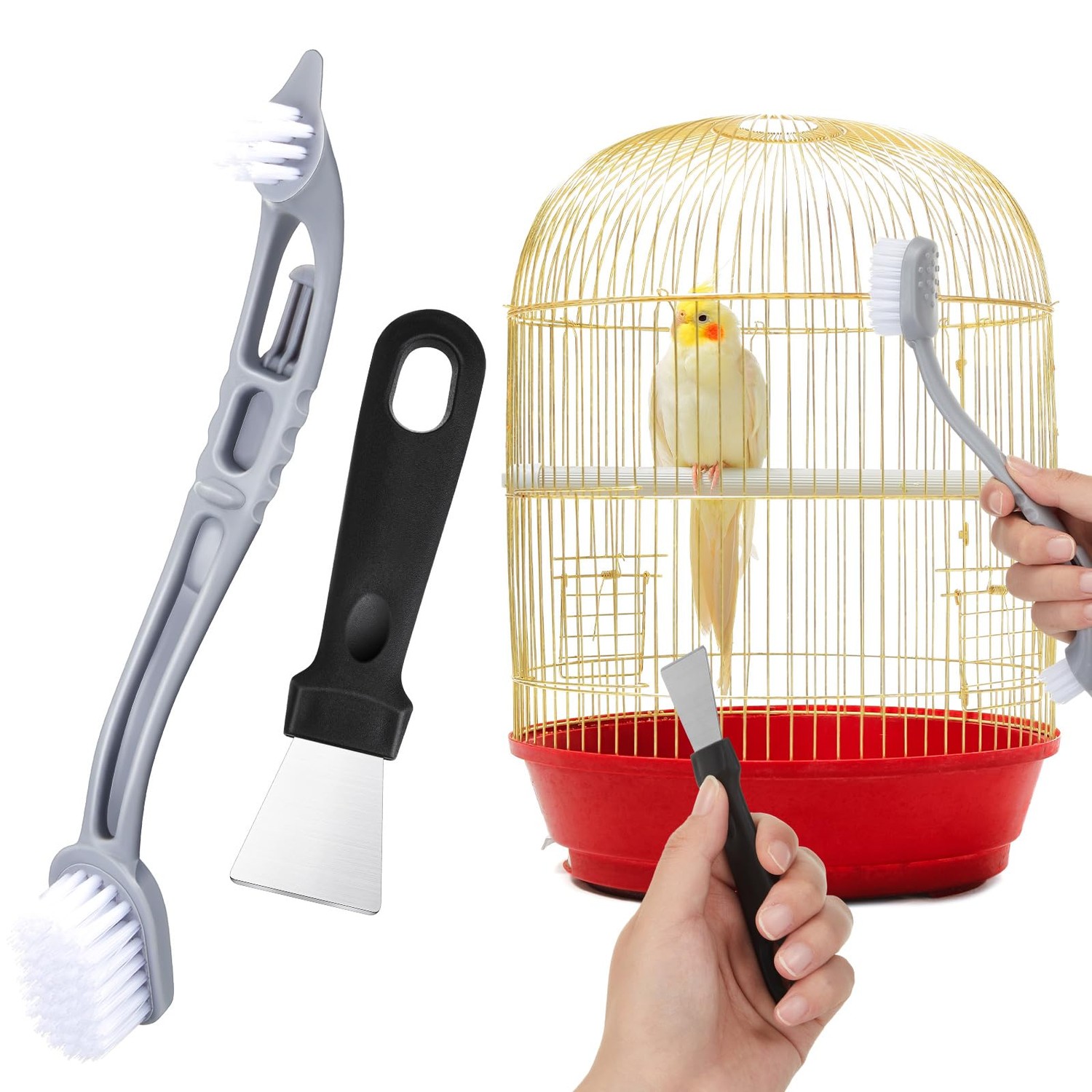 Teenyyou Bird Cage Cleaner with Two Brush Heads Stainless Steel Bird ...