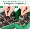 HASTHIP® 5 Piezas Bandeja de germinación Bandeja de Semillas Bandeja