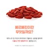 참굿즈 베르베린 매자나무열매 정 60정 1통 / Berberine 버베린 버버린
