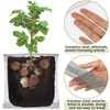 Shimeyao 26 Pcs Root Guard Gopher Baskets Plant Wire Baskets