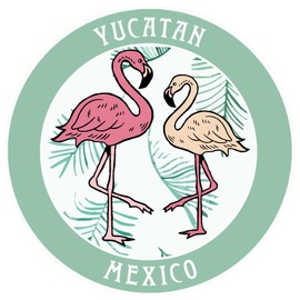 Blue Heron Two Flamingos Yucatan Mexico Car Truck Window Bumper Sticker Decal Souvenir - Vintage Green