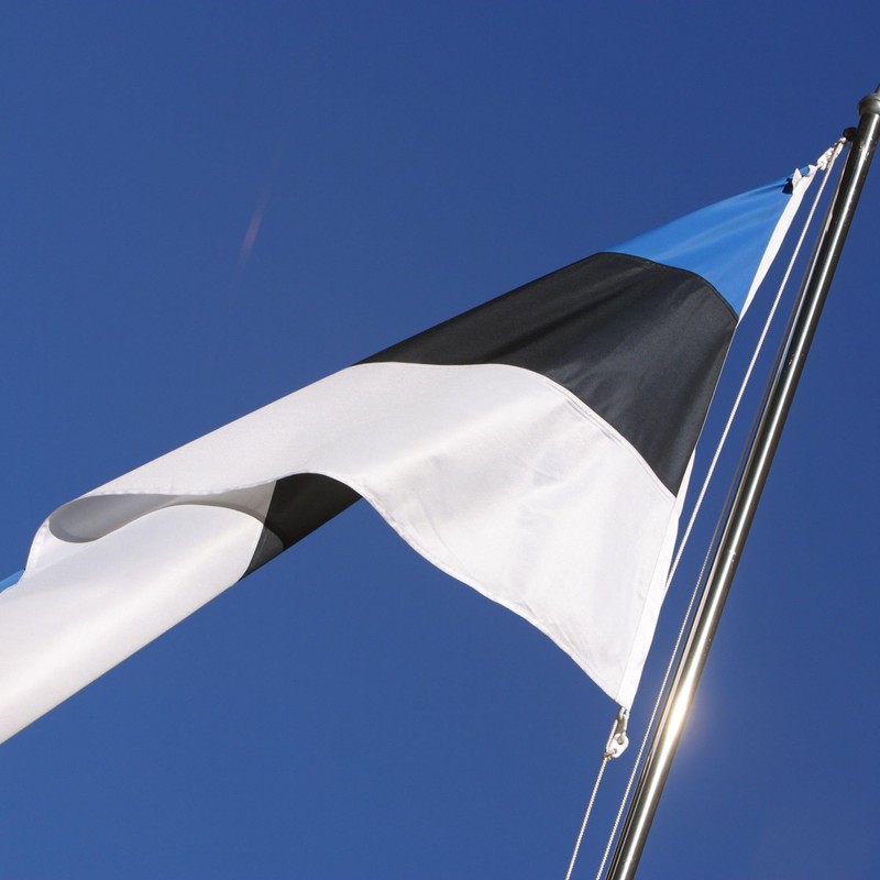 Runesol Estonia Flag, 91x152cm, 3ftx5ft,4 Grommets, Eyelet In Every Corner,