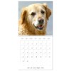 Happy Golden Retriever (Wall Calendar 2026 12" x 24" /