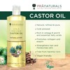 PraNaturals Cold Pressed Castor Oil 500ml - 100% Natural, Vegan