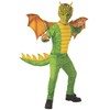 Rubie's Child's Dragon Costume, Large