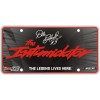 Race Plates #3 Dale Earnhardt Intimidator SS Souvenir License Plate