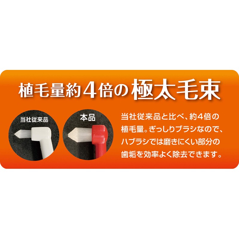 Shrimp Premium Care Point Brush, Set of 2, Free