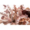 Dried Flower Mix,17 Eucalyptus Leaf + 8 Silver Dollar Leaf