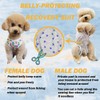 Dog’s Recovery Suit Post Surgery Shirt for Puppy, Wound Protective