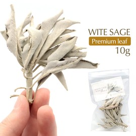 White Sage Cluster with Branches, 0.3 oz (10 g), Selected, Premium Leaf, No Pesticides, California Produced, Aroma, White Sage