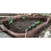 Snail Protection Copper Net 2.0 (10 m): 15 cm Height,